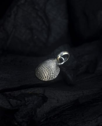 Anadara - Seashell Silver Pendant