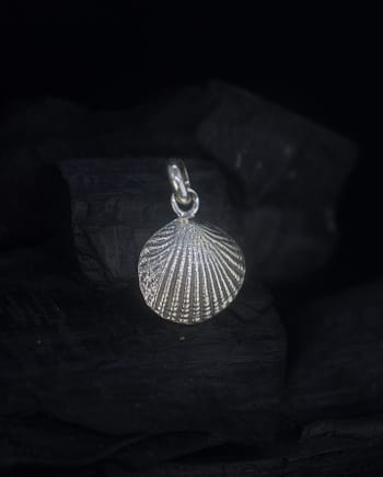 Cardita - Seashell Silver Pendant
