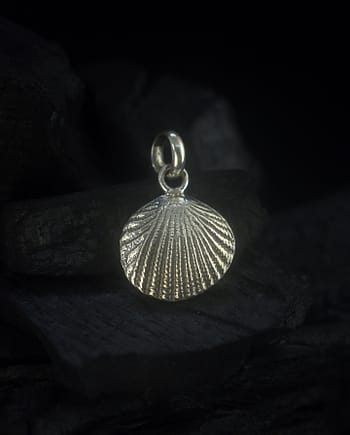 Cardita - Seashell Silver Pendant