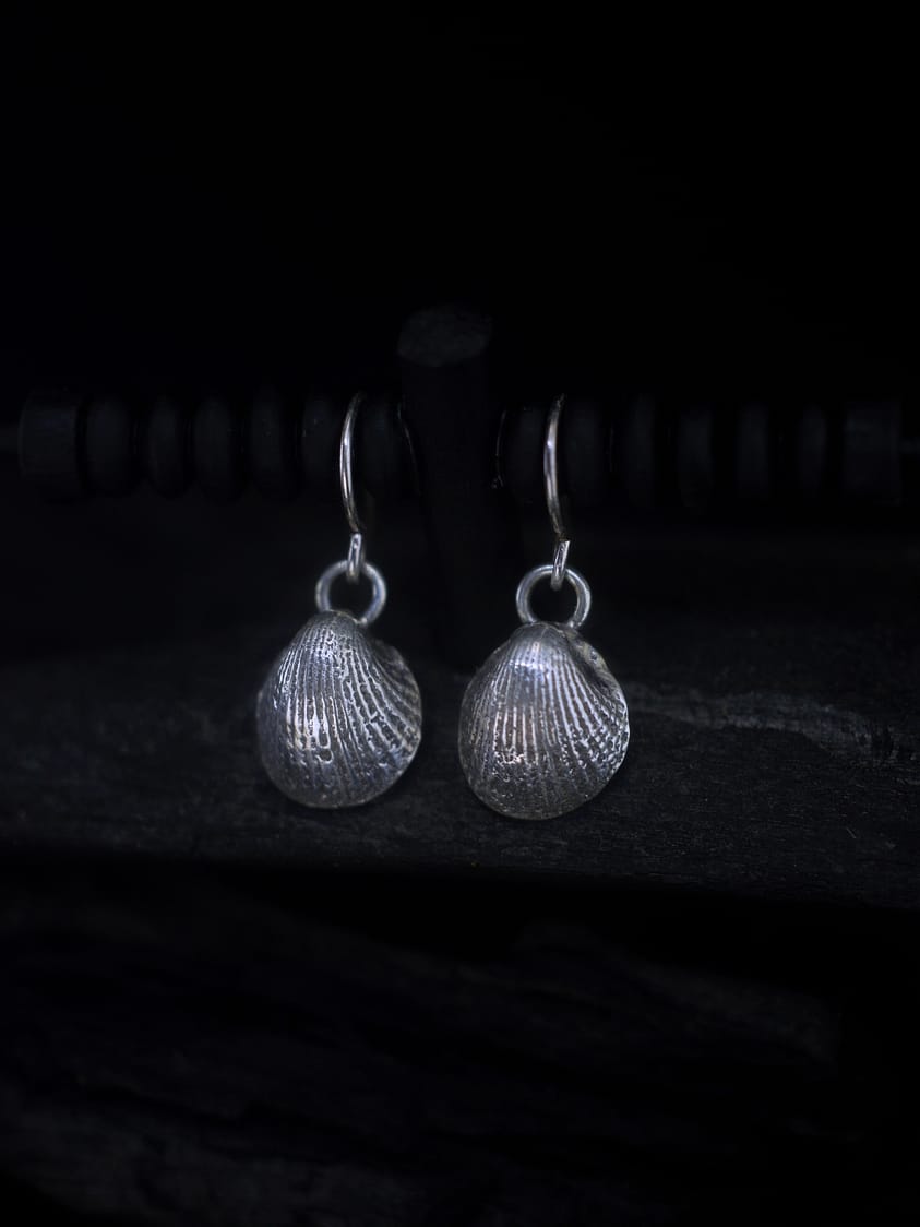 Anadara - Seashell Silver Earrings