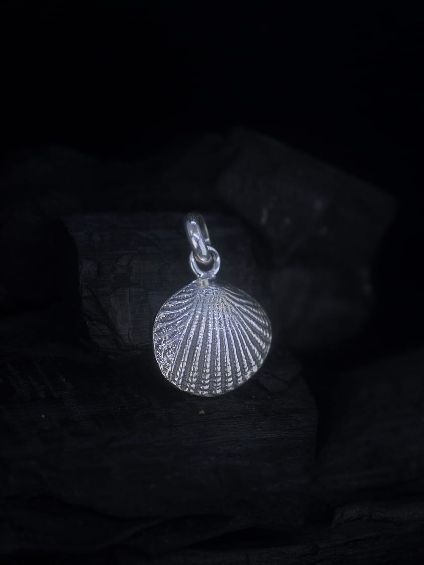 Cardita - Seashell Silver Pendant