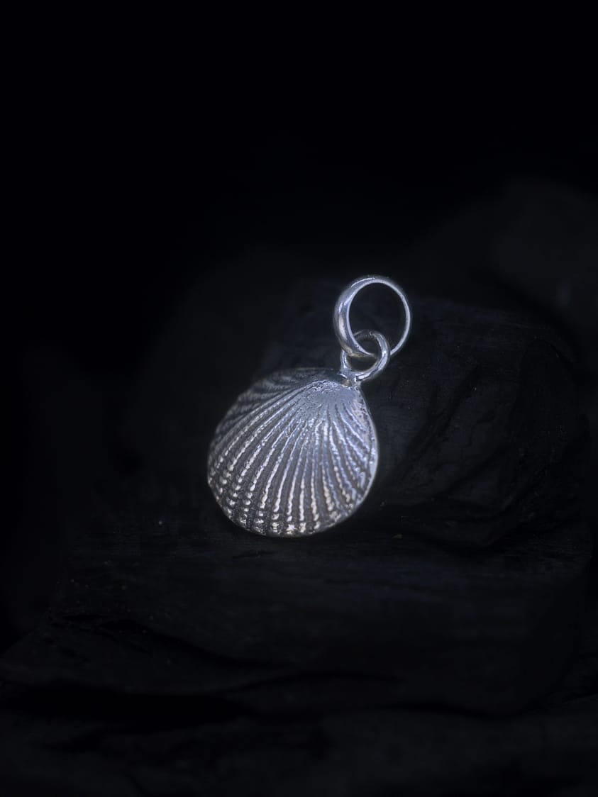 Cardita - Seashell Silver Pendant